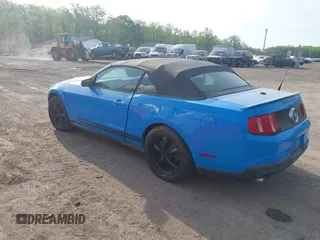 2011 Ford Mustang V6 z VIN 1ZVBP8EM4B5110048, wystawiony jako IAAI lot #42104845 z przebiegiem 141 294 mil mil oraz . Historia ofert i sprzedaży dostępna na DreamBid. Obrazek 3.
