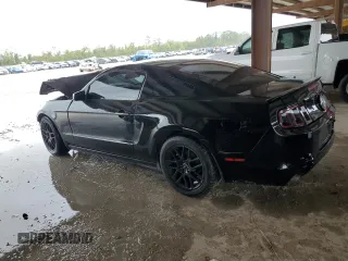 2014 Ford Mustang V6 with VIN 1ZVBP8AM7E5316443, listed as a Copart auction lot 80991534 with Not Provided miles and Salvage Title. Bid and sale history available at DreamBid. Image 2.