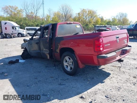 2009 Dodge Dakota SXT with VIN 1D7HE38K59S719263, listed as a IAAI auction lot 40661314 with Not Provided miles and . Bid and sale history available at DreamBid. Image 3.