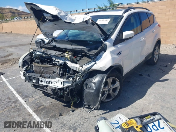 2014 Ford Escape SE with VIN 1FMCU9GX5EUB53378, listed as a IAAI auction lot 41709382 with Not provided miles and . Bid and sale history available at DreamBid. Image 16.