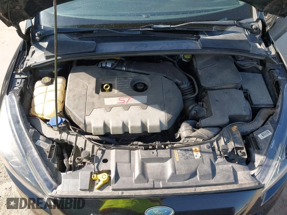 2018 Ford Focus ST with VIN 1FADP3L95JL332577, listed as a IAAI auction lot 41748222 with 73,491 mi miles and . Bid and sale history available at DreamBid. Image 10.