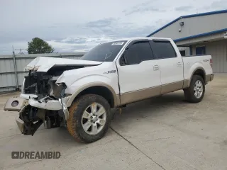 2011 Ford F-150 XL with VIN 1FTFW1EF3BFA24417, listed as a Copart auction lot 58860725 with 204,789 mi miles and Salvage title. Bid and sale history available at DreamBid. Image 1.
