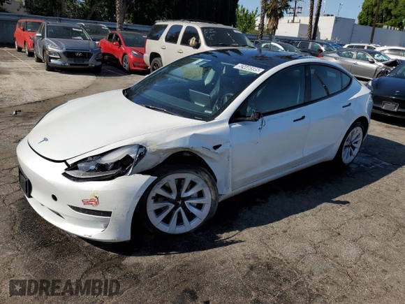 2023 Tesla Model 3 with VIN 5YJ3E1EA7PF450343, listed as a Copart auction lot 52446595 with 36,137 mi miles and Salvage Title. Bid and sale history available at DreamBid. Image 1.