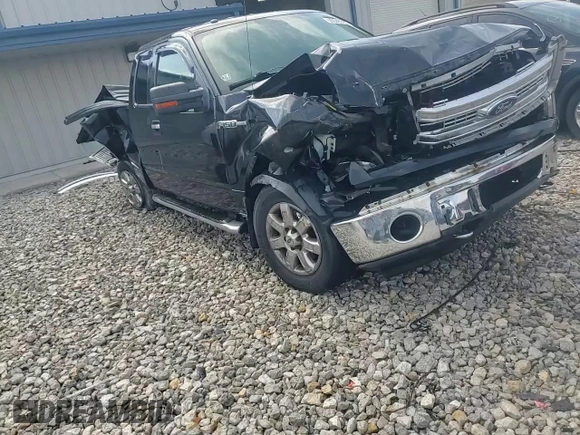 2013 Ford F-150 XL with VIN 1FTFX1EF3DKD66828, listed as a Copart auction lot 50648595 with 213,028 mi miles and Clean Title. Bid and sale history available at carsss.com. Image 14.