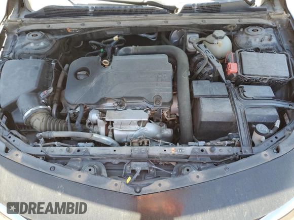 2019 Chevrolet Malibu LS with VIN 1G1ZB5STXKF194552, listed as a Copart auction lot 51979965 with Not Provided miles and Salvage Title. Bid and sale history available at DreamBid. Image 11.