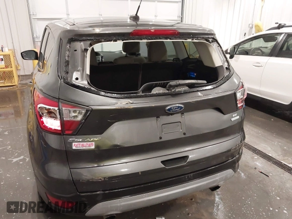 2017 Ford Escape SE with VIN 1FMCU0GD2HUB52680, listed as a IAAI auction lot 42040658 with 81,158 mi miles and . Bid and sale history available at DreamBid. Image 6.