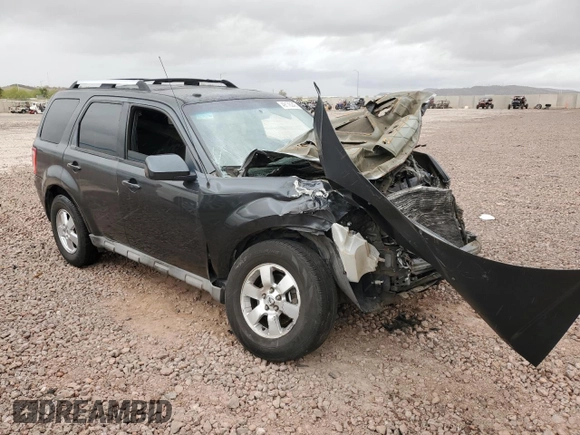 2009 Ford Escape Limited with VIN 1FMCU94769KC21080, listed as a Copart auction lot 65809795 with 171,483 mi miles and Salvage title. Bid and sale history available at DreamBid. Image 4.