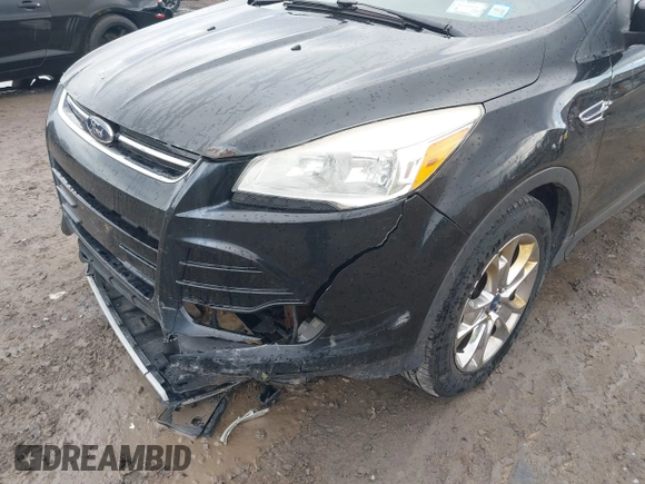 2013 Ford Escape SEL with VIN 1FMCU9HX9DUA69853, listed as a IAAI auction lot 42037021 with 132,166 mi miles and . Bid and sale history available at DreamBid. Image 6.