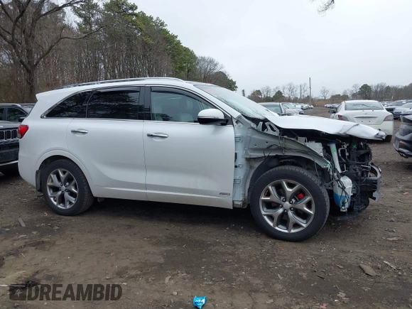 2018 Kia Sorento SX with VIN 5XYPKDA51JG405998, listed as a IAAI auction lot 41837641 with 138,909 mi miles and . Bid and sale history available at carsss.com. Image 14.