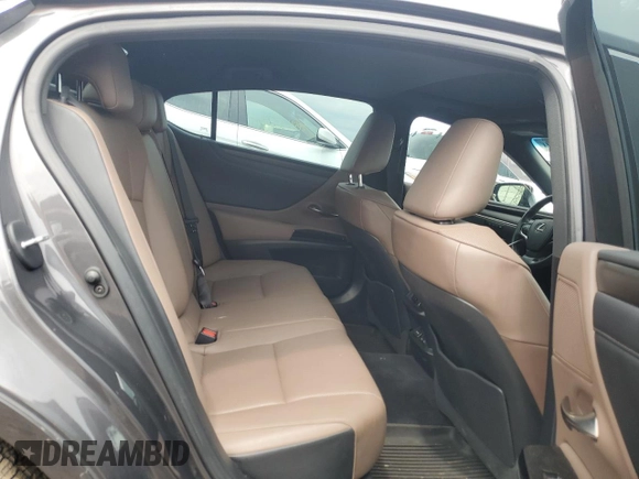 2022 Lexus ES 250 with VIN 58AD11D13NU009089, listed as a Copart auction lot 59532615 with 43,248 mi miles and Salvage title. Bid and sale history available at DreamBid. Image 10.