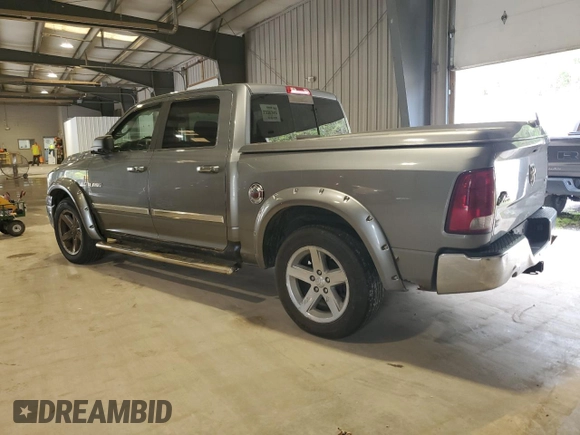 2009 Dodge 1500 SLT with VIN 1D3HV13TX9S771462, listed as a Copart auction lot 55118675 with 207,002 mi miles and Clean Title. Bid and sale history available at carsss.com. Image 2.
