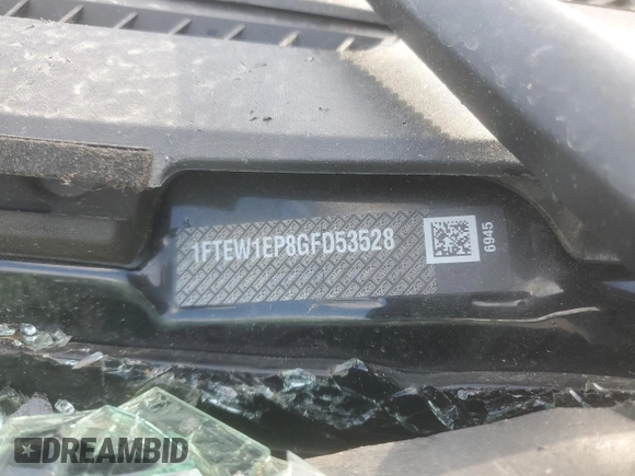 2016 Ford F-150 XLT with VIN 1FTEW1EP8GFD53528, listed as a Copart auction lot 59162755 with Not provided miles and Salvage title. Bid and sale history available at DreamBid. Image 12.