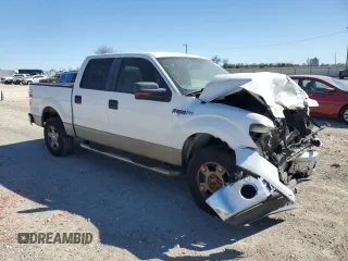 2009 Ford F-150 XL with VIN 1FTRW12889FA59502, listed as a Copart auction lot 50008105 with 89,094 mi miles and Salvage Title. Bid and sale history available at carsss.com. Image 4.