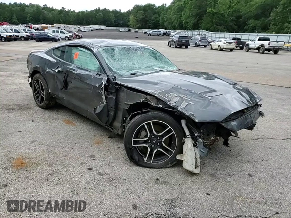 2019 Ford Mustang GT with VIN 1FA6P8CF3K5173835, listed as a Copart auction lot 56411435 with 57,162 mi miles and Salvage title. Bid and sale history available at DreamBid. Image 14.