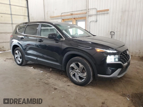 2021 Hyundai Santa Fe SE with VIN 5NMS14AJXMH321148, listed as a Copart auction lot 59810465 with 38,661 mi miles and Salvage title. Bid and sale history available at DreamBid. Image 4.