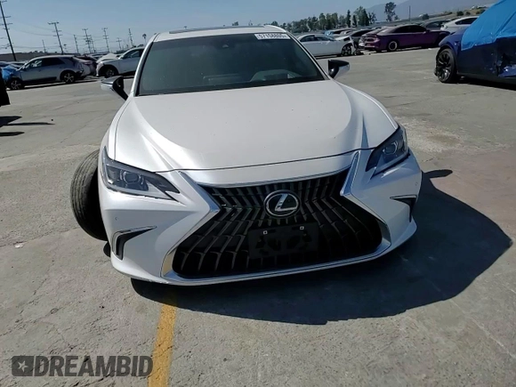 2024 Lexus ES 300h with VIN 58ADA1C13RU037546, listed as a Copart auction lot 57158805 with 49,138 mi miles and Salvage title. Bid and sale history available at DreamBid. Image 13.