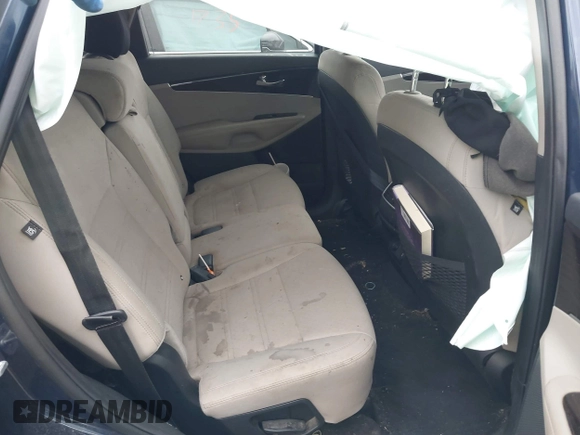 2019 Kia Sorento LX with VIN 5XYPGDA33KG529370, listed as a IAAI auction lot 41667904 with 173,123 mi miles. Bid and sale history available at carsss.com. Image 8.