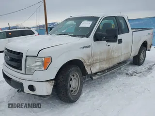 2013 Ford F-150 XL with VIN 1FTFX1EF5DFB37527, listed as a IAAI auction lot 41500050 with 231,877 mi miles and . Bid and sale history available at DreamBid. Image 17.