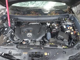 2018 Mazda CX-9 Sport z VIN JM3TCABY6J0212634, wystawiony jako IAAI lot #41187204 z przebiegiem 44 529 mil mil oraz . Historia ofert i sprzedaży dostępna na DreamBid. Obrazek 10.