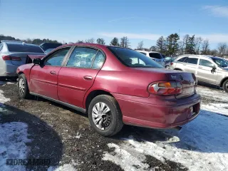 2005 Chevrolet Classic with VIN 1G1ND52F95M192391, listed as a Copart auction lot 42448245 with 0 mi miles and Salvage Title. Bid and sale history available at carsss.com. Image 2.