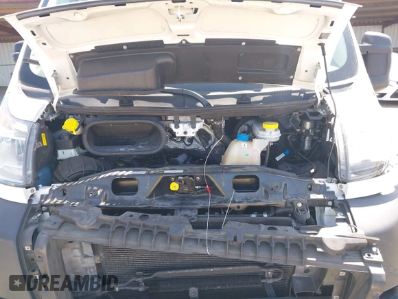 2019 Ram ProMaster Cargo with VIN 3C6TRVNG2KE535158, listed as a IAAI auction lot 41973909 with 91,922 mi miles and . Bid and sale history available at DreamBid. Image 10.