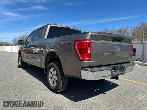 2023 Ford F-150 XL with VIN 1FTEW1EP1PFA41180, listed as a Copart auction lot 53303335 with 11,220 mi miles and Salvage Title. Bid and sale history available at carsss.com. Image 2.