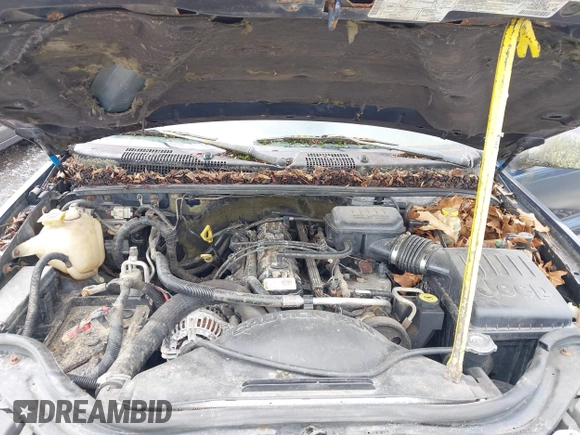 2003 Jeep Grand Cherokee Laredo with VIN 1J4GW48S63C591605, listed as a IAAI auction lot 41973681 with 177,024 mi miles and . Bid and sale history available at DreamBid. Image 10.