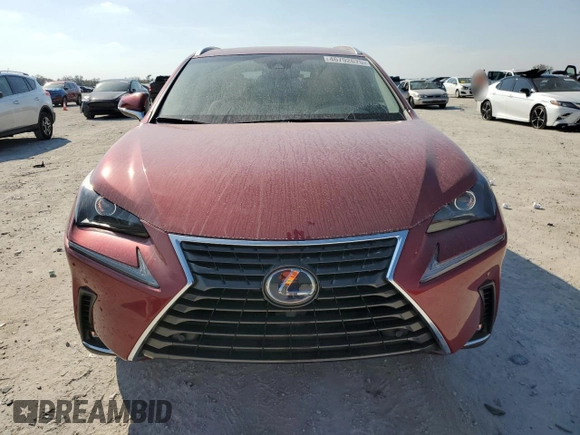 2019 Lexus NX 300h with VIN JTJBJRBZ0K2125008, listed as a Copart auction lot 46792675 with 28,002 mi miles and Salvage title. Bid and sale history available at DreamBid. Image 5.
