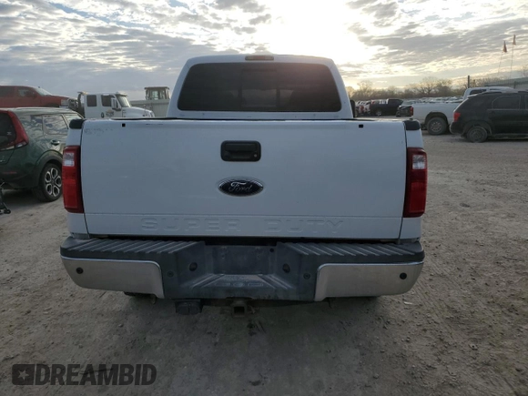 2009 Ford F-250 XL with VIN 1FTSW21R39EB19435, listed as a Copart auction lot 49723815 with 164,301 mi miles and Salvage title. Bid and sale history available at DreamBid. Image 6.
