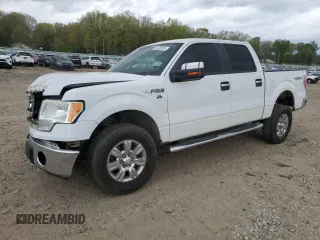 2012 Ford F-150 XL with VIN 1FTFW1EF1CKD34946, listed as a Copart auction lot 51530925 with 259,011 mi miles and Clean Title. Bid and sale history available at carsss.com. Image 1.