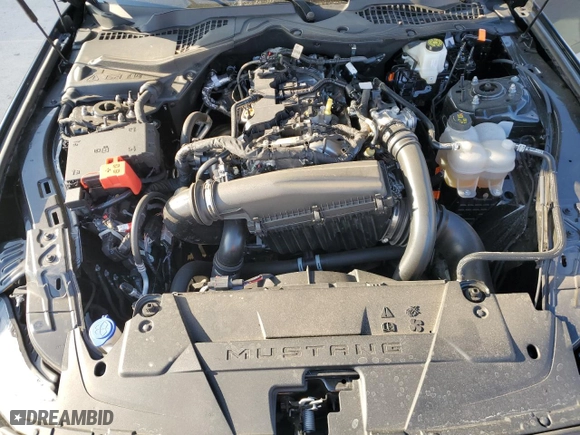 2024 Ford Mustang EcoBoost with VIN 1FA6P8TH5R5118346, listed as a Copart auction lot 47194625 with 10,264 mi miles and Salvage Title. Bid and sale history available at carsss.com. Image 13.