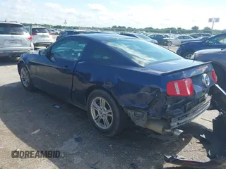 2011 Ford Mustang V6 with VIN 1ZVBP8AM7B5151781, listed as a IAAI auction lot 42338259 with 179,558 mi miles and . Bid and sale history available at DreamBid. Image 3.