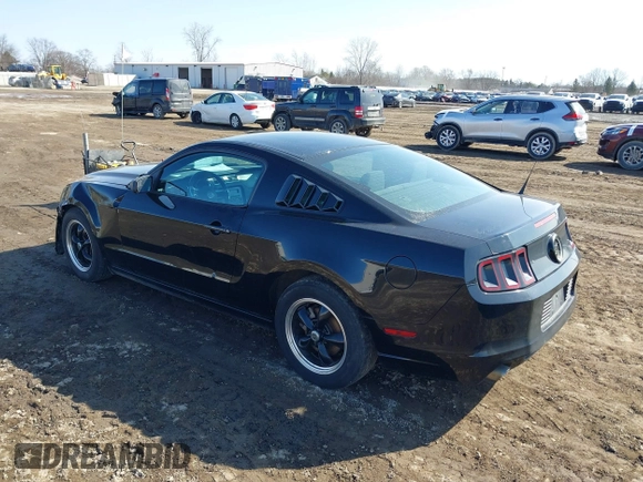 2013 Ford Mustang V6 with VIN 1ZVBP8AM3D5235860, listed as a IAAI auction lot 41778077 with 163,671 mi miles and . Bid and sale history available at DreamBid. Image 3.