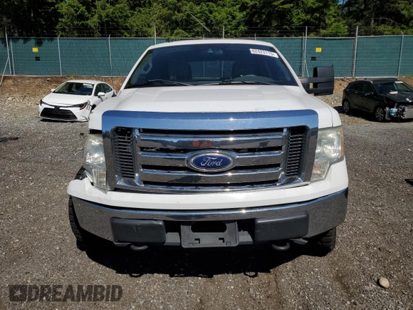 2010 Ford F-150 XL with VIN 1FTEW1E8XAFB89795, listed as a Copart auction lot 62423115 with 402,162 mi miles and Salvage title. Bid and sale history available at DreamBid. Image 5.