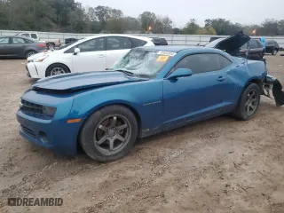 2010 Chevrolet Camaro LS with VIN 2G1FE1EV5A9116607, listed as a Copart auction lot 85658304 with 0 mi miles and Salvage Title. Bid and sale history available at carsss.com. Image 1.