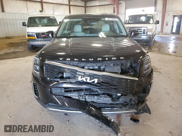 2022 Kia Telluride EX with VIN 5XYP34HC4NG239743, listed as a Copart auction lot 56178205 with Not provided miles and Salvage title. Bid and sale history available at DreamBid. Image 5.