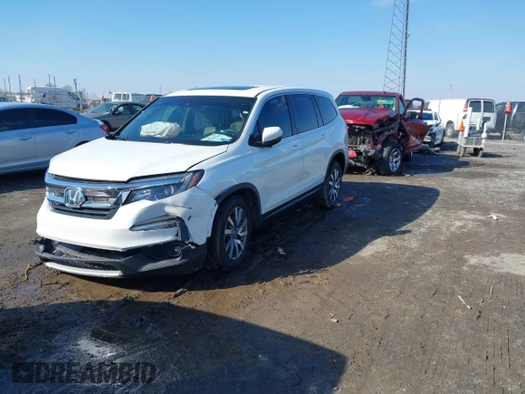 2021 Honda Pilot EX-L with VIN 5FNYF5H57MB037861, listed as a IAAI auction lot 41566924 with 42,867 mi miles. Bid and sale history available at carsss.com. Image 17.