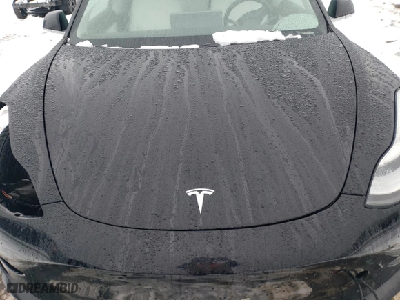 2019 Tesla Model 3 Long Range with VIN 5YJ3E1EB1KF407053, listed as a Copart auction lot 45630465 with 0 mi miles and Salvage Title. Bid and sale history available at carsss.com. Image 12.