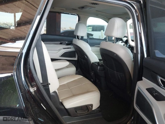 2021 Kia Telluride EX with VIN 5XYP34HC0MG190457, listed as a IAAI auction lot 41656193 with 110,632 mi miles. Bid and sale history available at carsss.com. Image 8.
