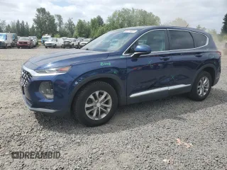 2020 Hyundai Santa Fe SE with VIN 5NMS2CAD4LH179007, listed as a Copart auction lot 60174055 with 72,505 mi miles and Salvage title. Bid and sale history available at DreamBid. Image 1.