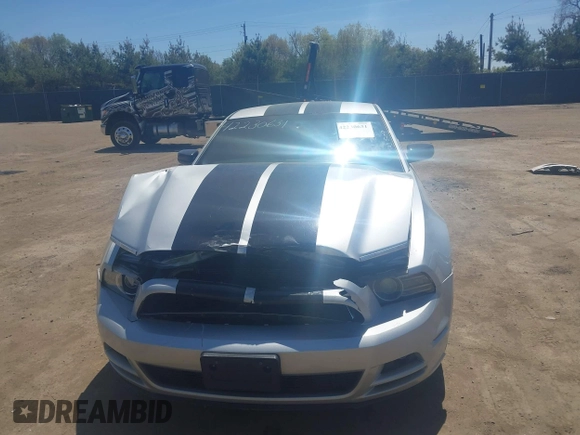2014 Ford Mustang V6 z VIN 1ZVBP8AM4E5202464, wystawiony jako IAAI lot #42230631 z przebiegiem 171 523 mil mil oraz . Historia ofert i sprzedaży dostępna na DreamBid. Obrazek 12.