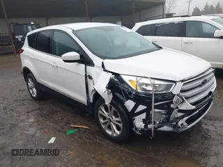 2019 Ford Escape SE with VIN 1FMCU0GD2KUC21987, listed as a IAAI auction lot 41463458 with 98,983 mi miles. Bid and sale history available at carsss.com. Image 1.