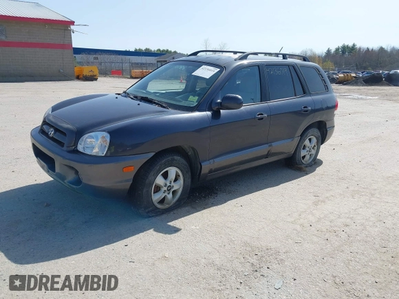 2006 Hyundai Santa Fe GLS with VIN KM8SC73DX6U057052, listed as a IAAI auction lot 42136019 with 159,272 mi miles. Bid and sale history available at carsss.com. Image 2.