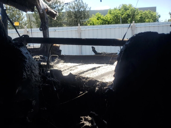 2025 Jeep Wrangler Sport S z VIN 1C4PJXAN2SW532381, wystawiony jako Copart lot #56226185 z przebiegiem Nie podano mil oraz Nie do naprawy • Non repairable. Historia ofert i sprzedaży dostępna na DreamBid. Obrazek 10.