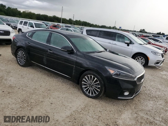 2017 Kia Cadenza Premium with VIN KNALC4J19H5092093, listed as a Copart auction lot 74177624 with 0 mi miles and Salvage Title. Bid and sale history available at carsss.com. Image 4.