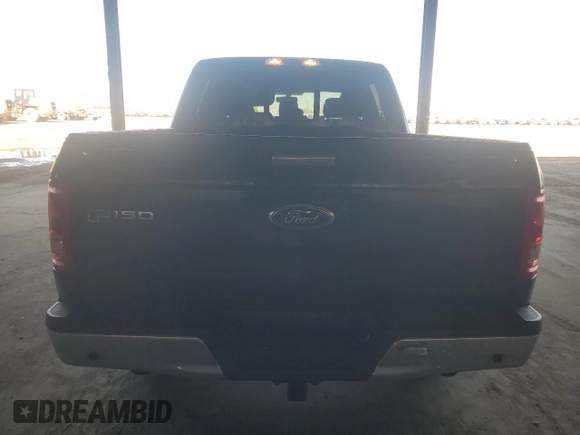 2015 Ford F-150 XL with VIN 1FTEW1CG9FKE05225, listed as a Copart auction lot 66383035 with 195,552 mi miles and Clean title. Bid and sale history available at DreamBid. Image 6.