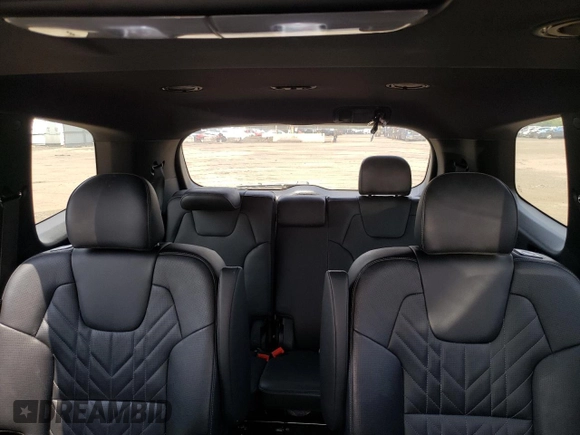 2023 Kia Telluride EX X-Line with VIN 5XYP3DGCXPG341343, listed as a Copart auction lot 60147165 with 29,990 mi miles and Salvage title. Bid and sale history available at DreamBid. Image 10.