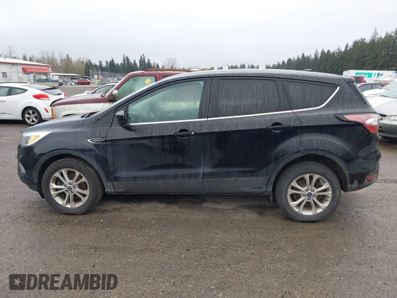 2017 Ford Escape SE with VIN 1FMCU9GD9HUB45195, listed as a IAAI auction lot 41916930 with 126,084 mi miles. Bid and sale history available at carsss.com. Image 14.