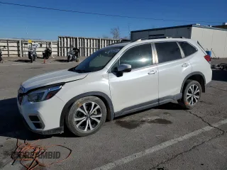 2021 Subaru Forester Limited with VIN JF2SKASC2MH574091, listed as a Copart auction lot 42532895 with 49,919 mi miles and Salvage title. Bid and sale history available at DreamBid. Image 1.