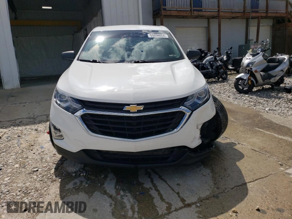 2021 Chevrolet Equinox LS with VIN 3GNAXFEV8MS173102, listed as a Copart auction lot 55698654 with 47,046 mi miles and Salvage title. Bid and sale history available at DreamBid. Image 5.